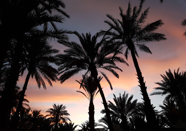 Sonnenuntergang in Zagora