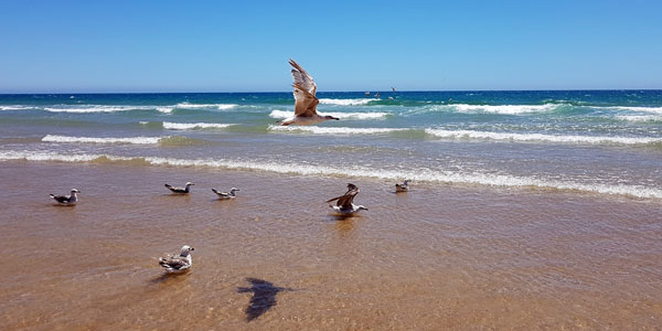 Strandspaziergang