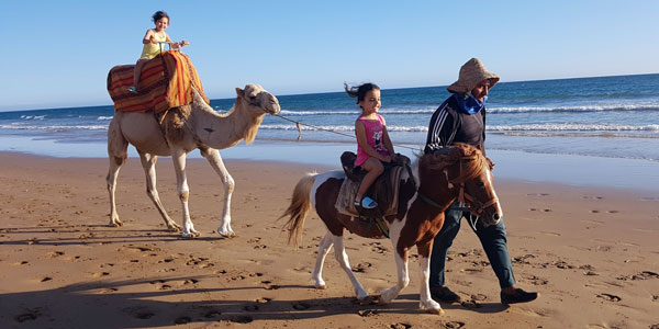 Pony- und Kamelreiten am Strand