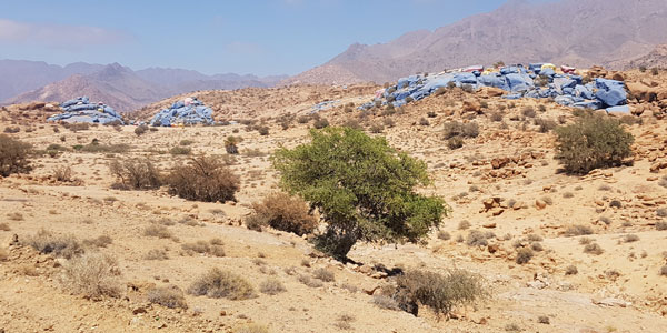 Blaue Felsen von Tafraoute