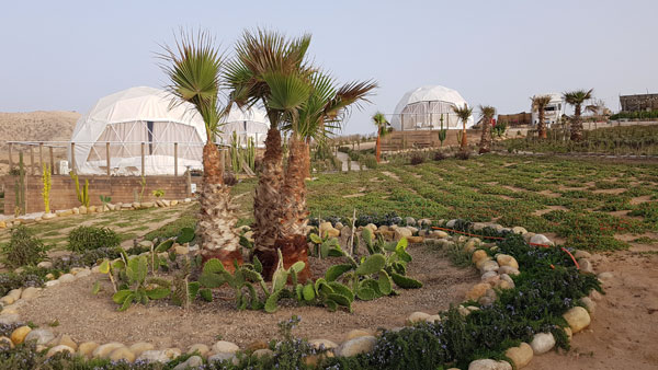 Timlaline Domes, Tamri