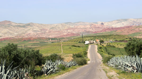 Volubilis nach Fès